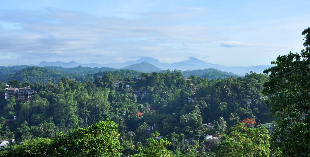 Primrose Inn Kandy Bilik gambar